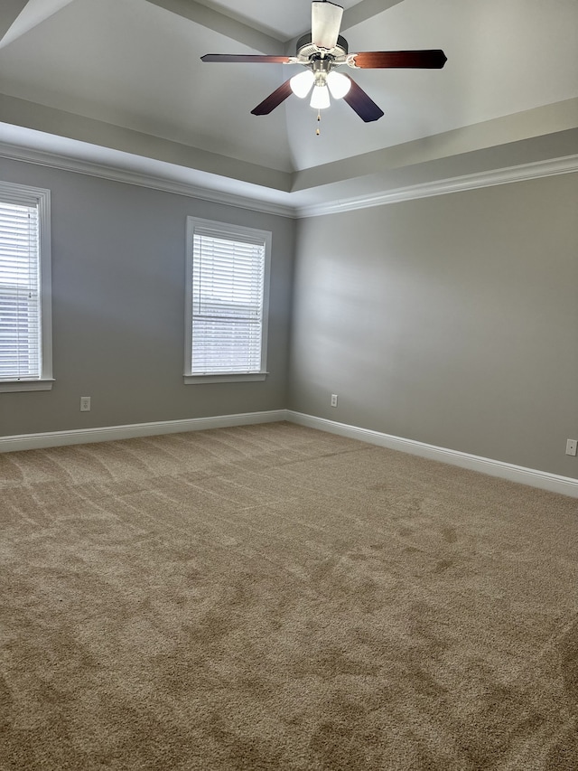 spare room featuring a raised ceiling, carpet floors, and ornamental molding