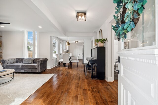 living room with dark hardwood / wood-style flooring