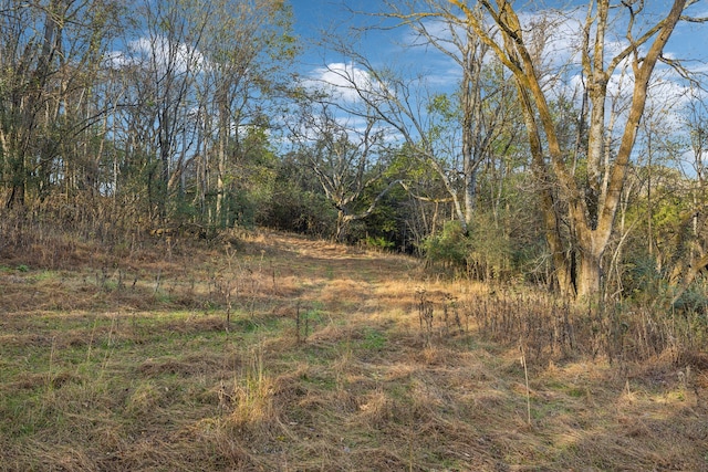 Listing photo 2 for 0 Columbia Hwy, Pulaski TN 38478