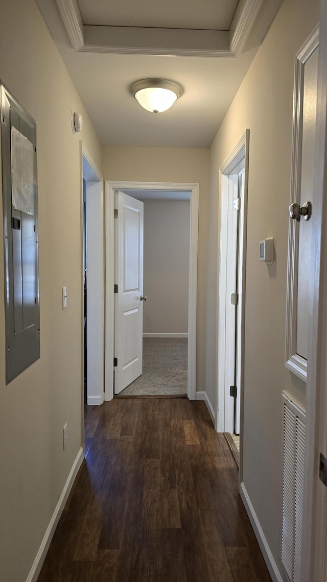 hall featuring electric panel and dark wood-type flooring