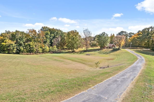 view of community featuring a yard