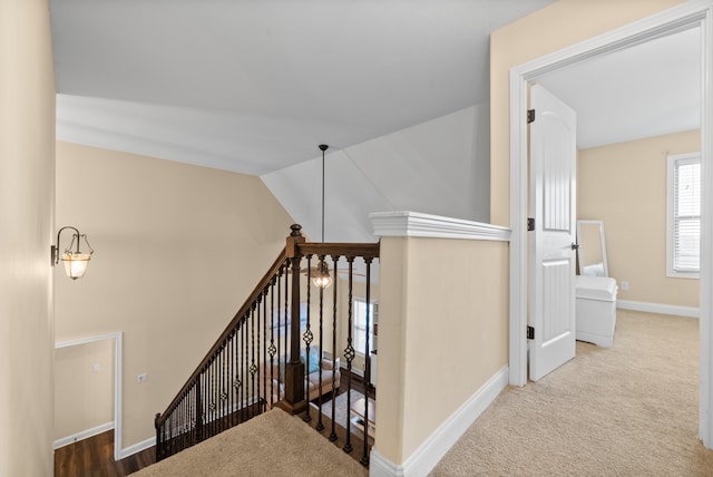 stairway featuring carpet flooring