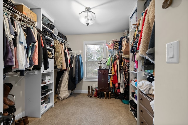 walk in closet featuring light colored carpet