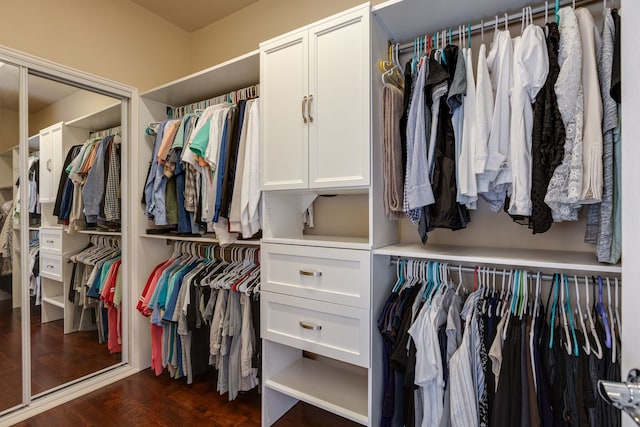 walk in closet featuring dark hardwood / wood-style floors