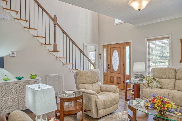 living room featuring hardwood / wood-style flooring