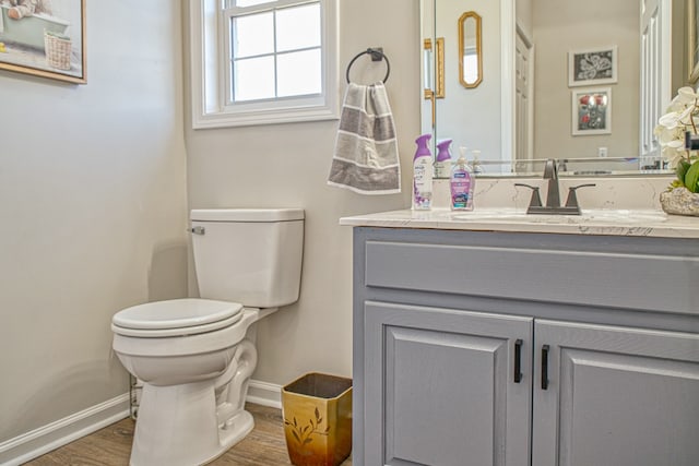 bathroom featuring vanity, toilet, and wood-type flooring