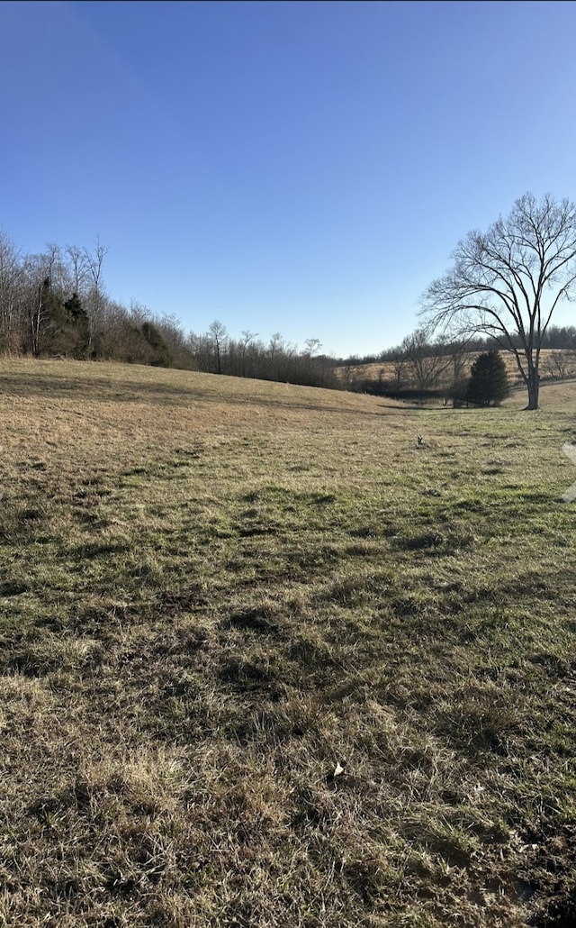 Listing photo 3 for 0 Celina Rd, Red Boiling Springs TN 37150