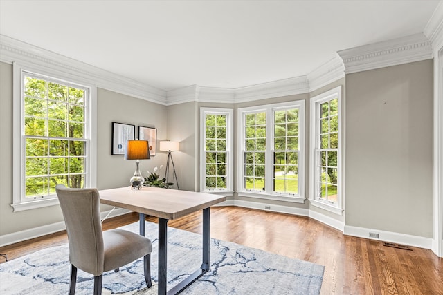 office with hardwood / wood-style floors and ornamental molding