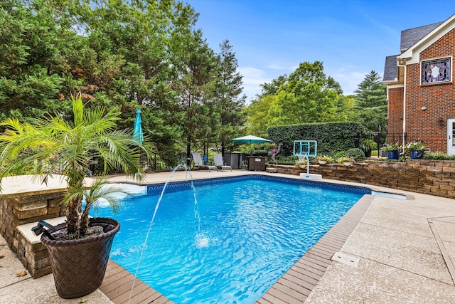 view of swimming pool with a patio