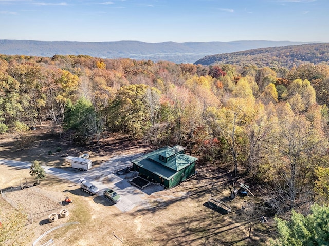 bird's eye view with a mountain view