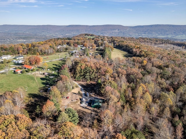 bird's eye view featuring a mountain view