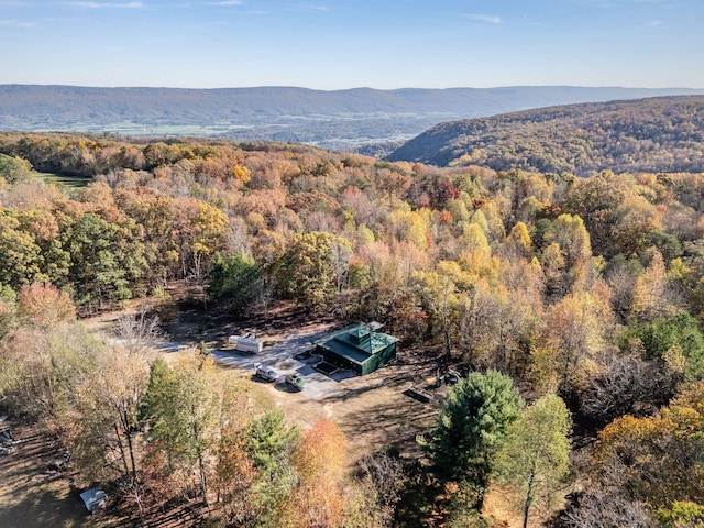 aerial view with a mountain view