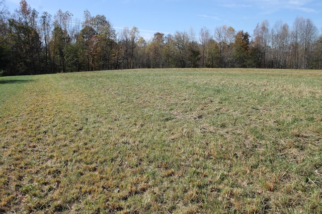 221 Whitson Rd, Bethpage, TN 37022