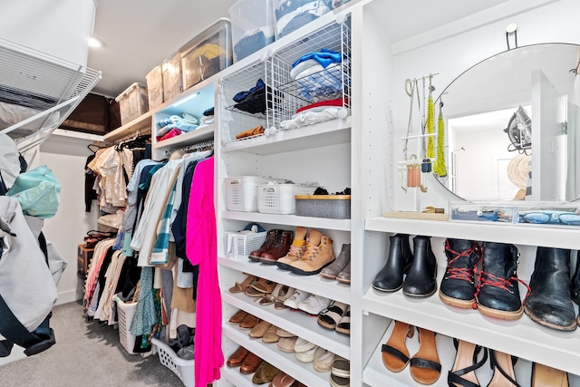 walk in closet with carpet flooring