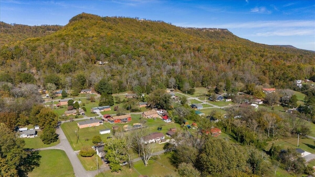 aerial view with a mountain view