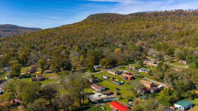 drone / aerial view featuring a mountain view