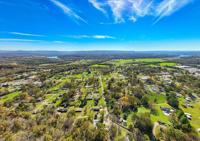 drone / aerial view