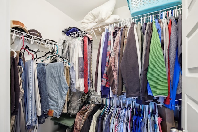 view of spacious closet