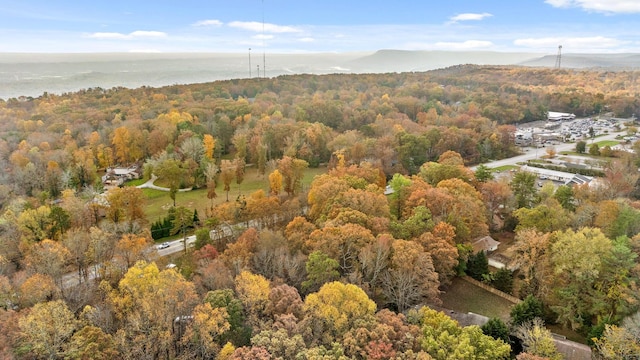 612 Miles Rd, Signal Mountain, TN 37377