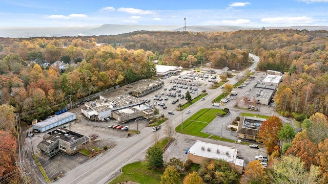 612 Miles Rd, Signal Mountain, TN 37377