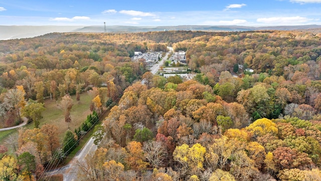 612 Miles Rd, Signal Mountain, TN 37377