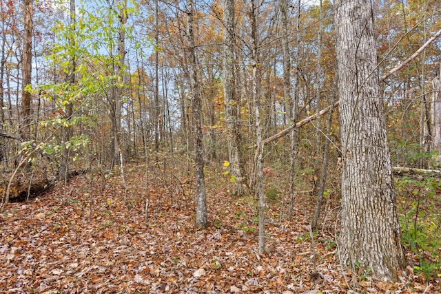 Listing photo 3 for 612 Miles Rd, Signal Mountain TN 37377