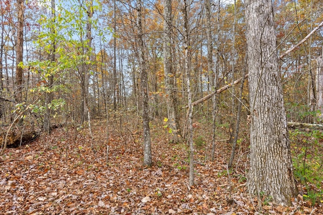 612 Miles Rd, Signal Mountain, TN 37377