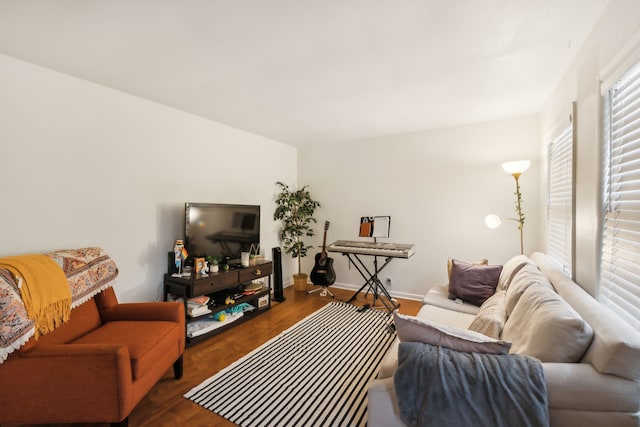 living room featuring dark hardwood / wood-style floors