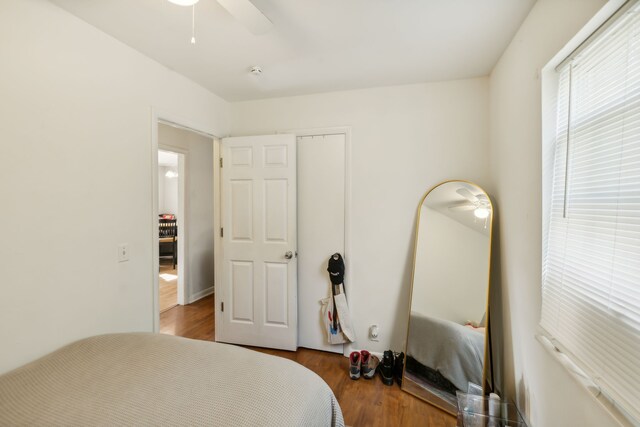 bedroom featuring ceiling fan, a closet, and hardwood / wood-style flooring