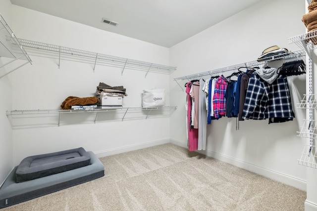 spacious closet with light colored carpet