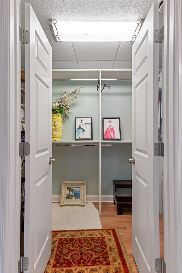 spacious closet with hardwood / wood-style flooring