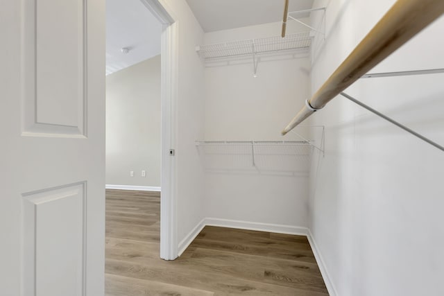 spacious closet with light wood-type flooring