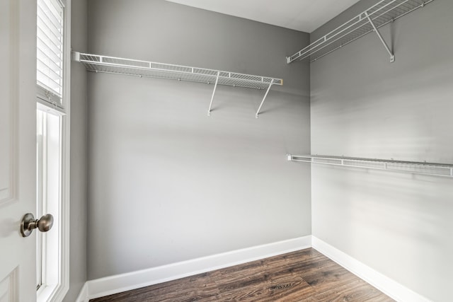 spacious closet featuring dark hardwood / wood-style flooring