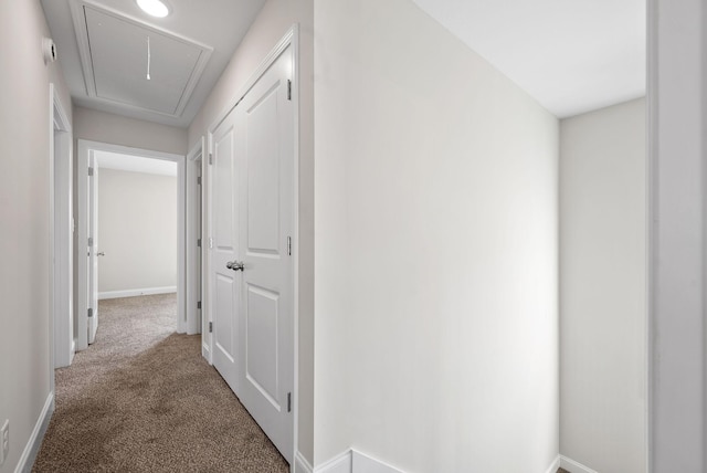 hallway featuring carpet floors, attic access, and baseboards