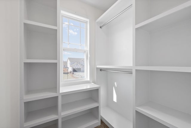 view of spacious closet