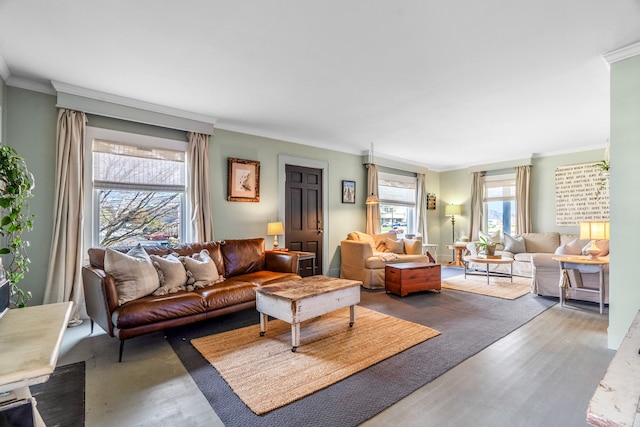 living room with crown molding