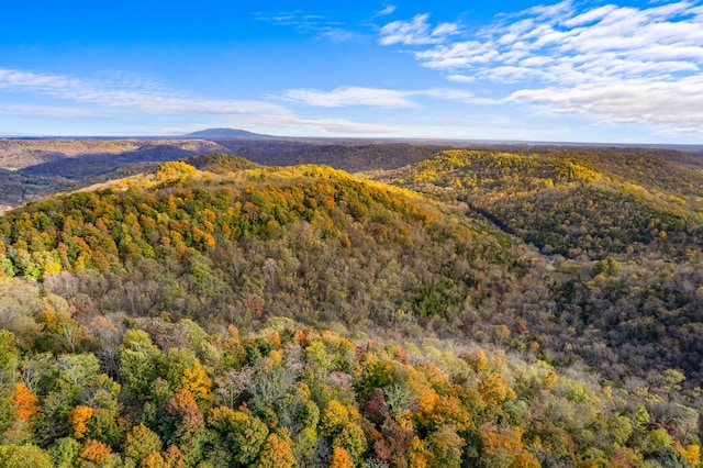 aerial view featuring a mountain view