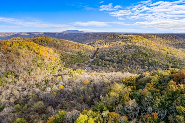 view of mountain feature