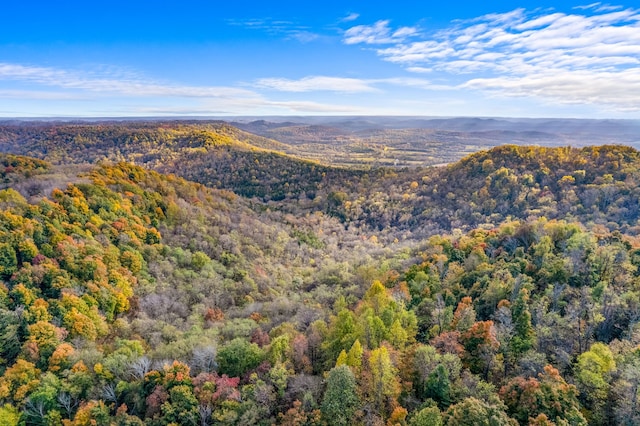 bird's eye view featuring a mountain view