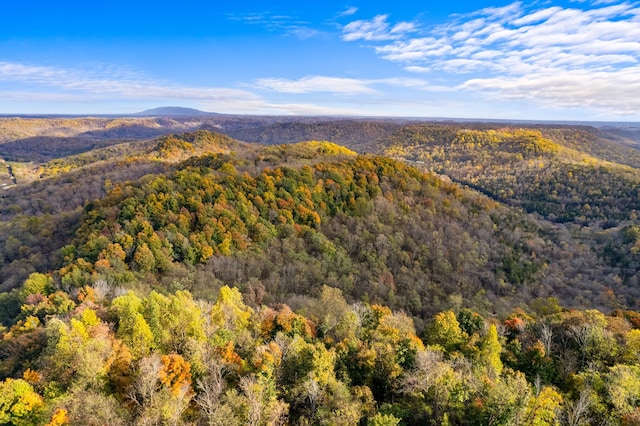 drone / aerial view featuring a mountain view