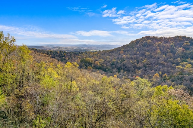 view of mountain feature