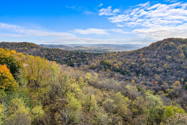 property view of mountains