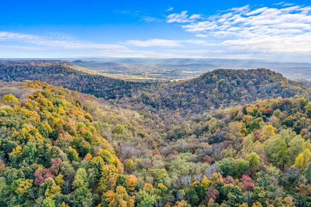 property view of mountains