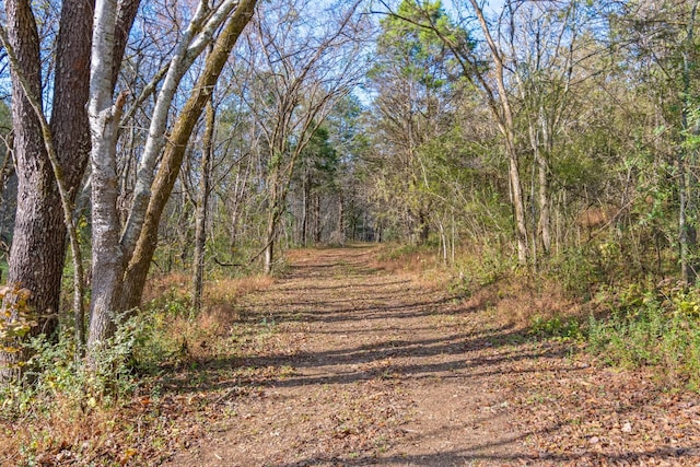 view of road