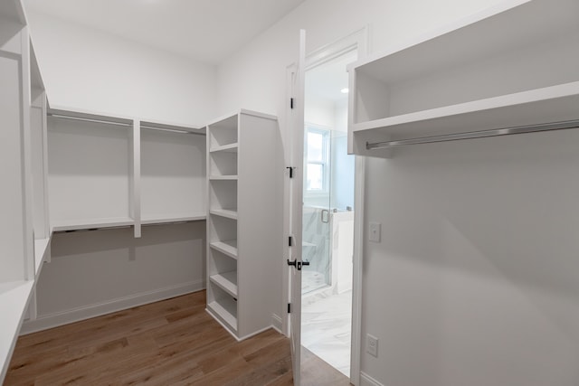 walk in closet with hardwood / wood-style floors