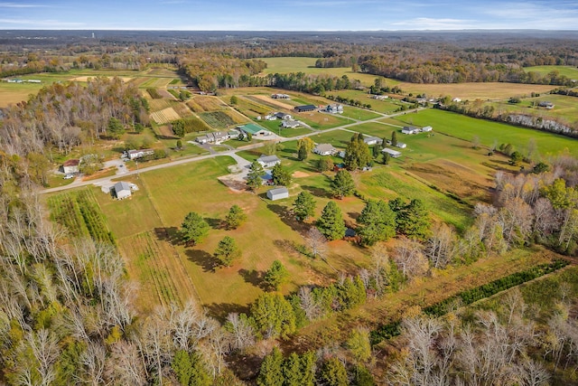 aerial view with a rural view