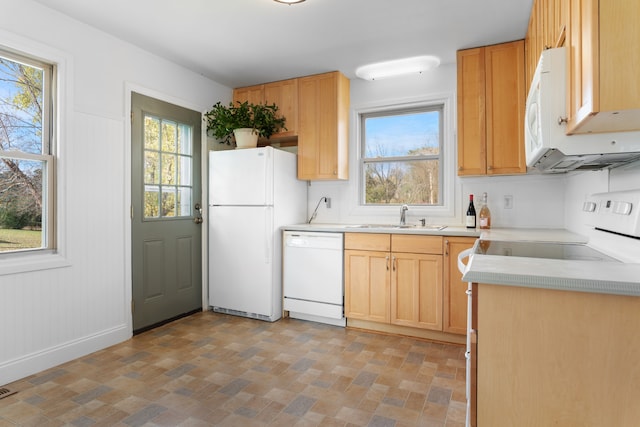 kitchen with sink, white appliances, and light brown cabinetry