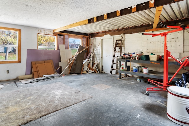 miscellaneous room featuring plenty of natural light and concrete flooring