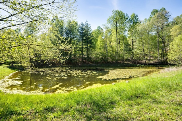 view of landscape with a water view