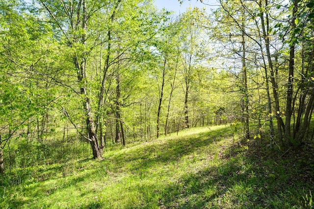 view of landscape